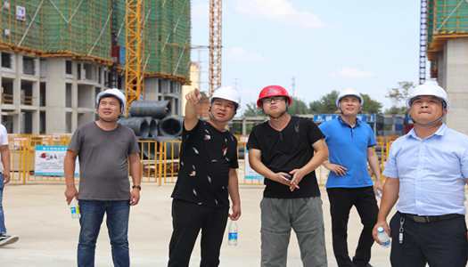 kaiyun开云网页版董事会巡检圆满完成